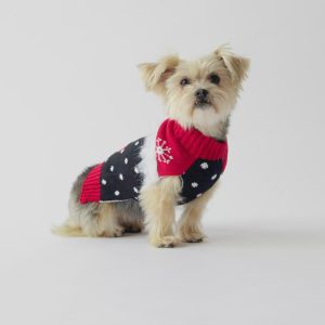 Ugly Christmas Dog Sweater – Festive Stocking Holiday Knit Pullover - M