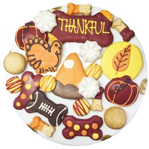 Thankful Themed Dog Treats Gift Box, Set of 15
