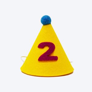 PAWTY HAT - Purple Number - TWO