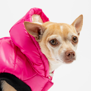 Emma Dog Jacket – Shiny Raspberry Water-Resistant Winter Coat with Sherpa Lining - S