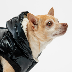 Emma Dog Jacket – Shiny Black Water-Resistant Winter Coat with Sherpa Lining - 3XL