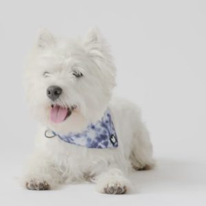 Poplin Dog Bandana Collar – Blue Tie Dye | Adjustable with Metal Buckle - S