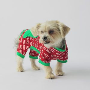 Matching Human Christmas Onesie – Ho-Ho! Festive Holiday Pajamas - L