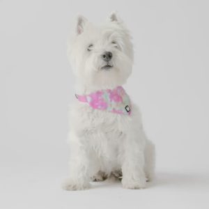 Pink Tie-Dye Poplin Dog Bandana Collar – Adjustable & Stylish Pet Accessory - L