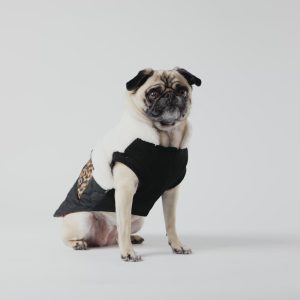 Loki Quilted Dog Jacket – Stylish Sherpa Coat with Leopard Pocket & Waste Bag Dispenser - XS