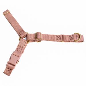 Roam Harness - Medium, MOCHA