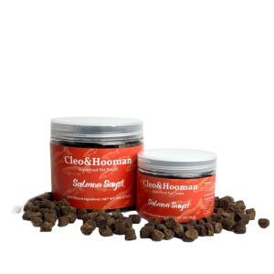 Salmon Says! — Superfood Pet Treats - 6oz, Set of 100