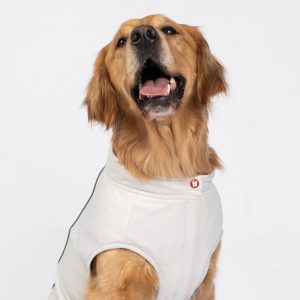 Cooper Dog UV Protector and Cooling Top – Breathable, UV Protection, Reflective, Comfortable | Outdoor Gear for Pets - 2XL