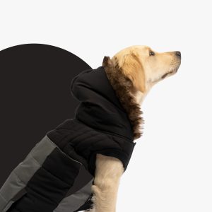 Bailey Dog Jacket – Black | Quilted Winter Coat with Sherpa Lining & Poop Bag Dispenser - S